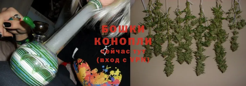 Конопля индика  Кедровый 